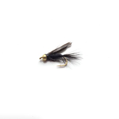 Stillwater Black Winggnat Gold Bead Size 12 - 1 Dozen